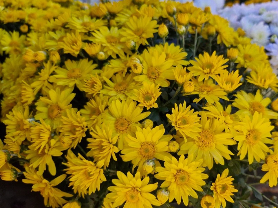 Фото: REGIONS/Наталия Надточая