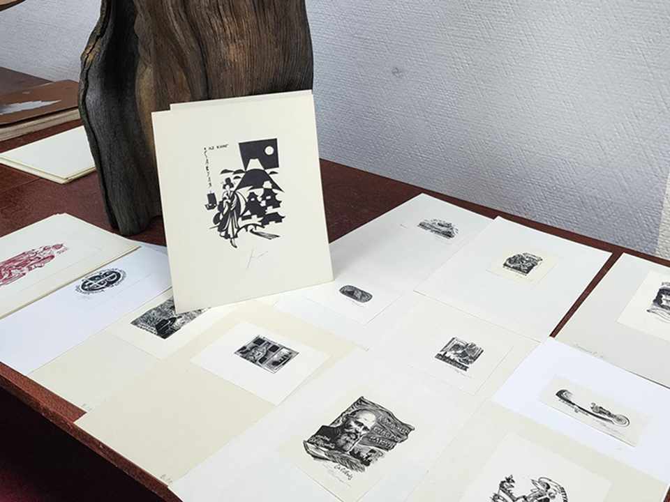 Фото: МедиаБанк Подмосковья/Екатерина Мелкозерова