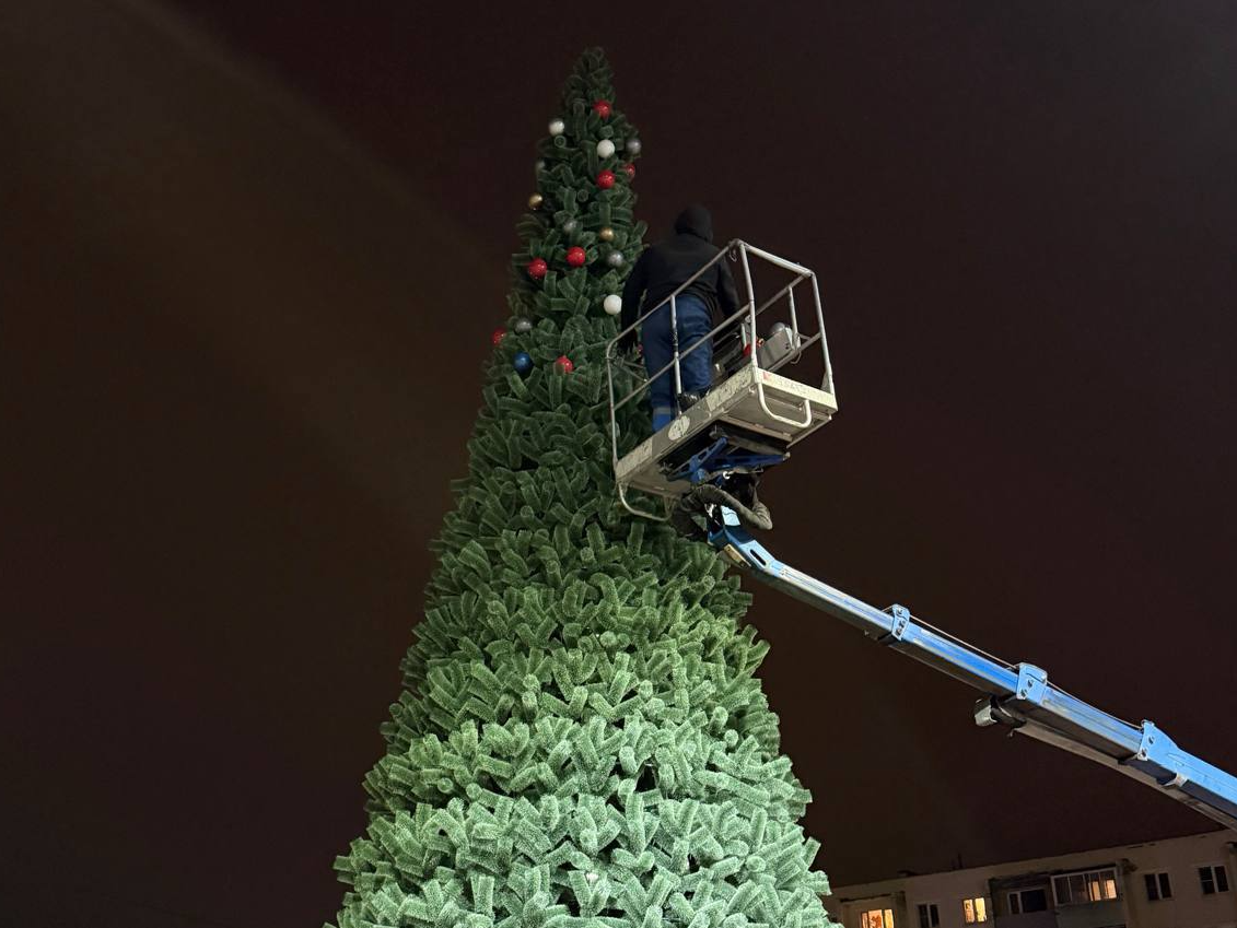 Фото: пресс-служба администрации Наро-Фоминского г.о.             