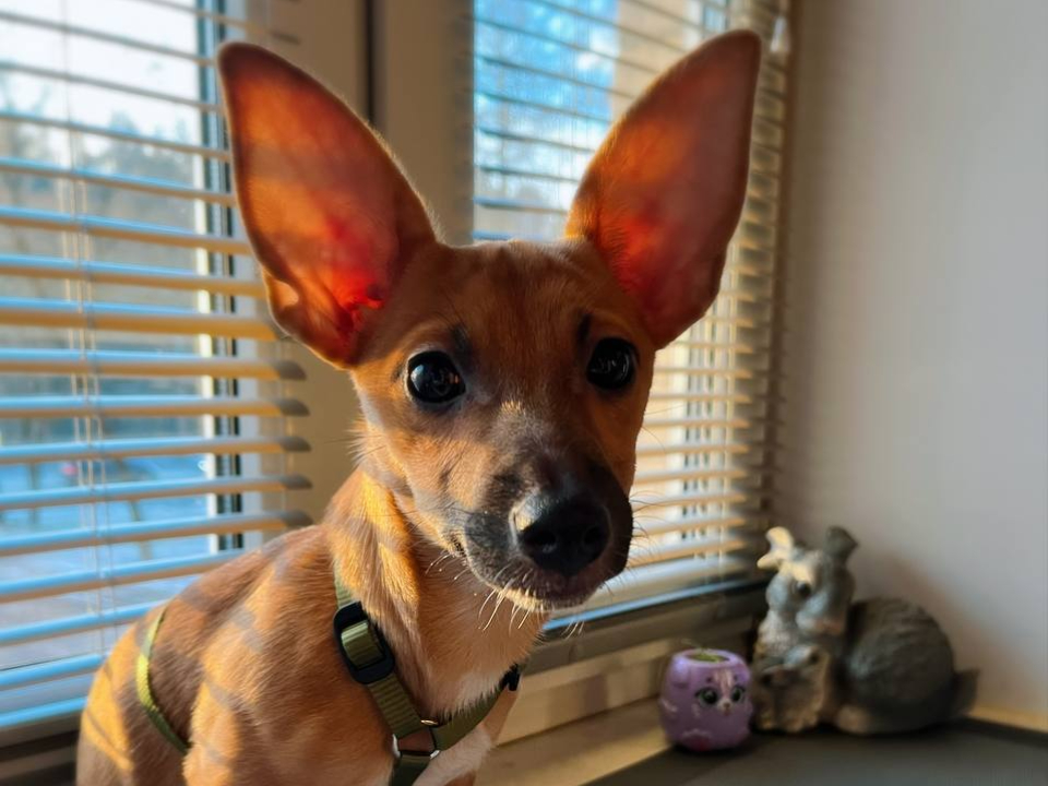 Фото: Инга Виноградова