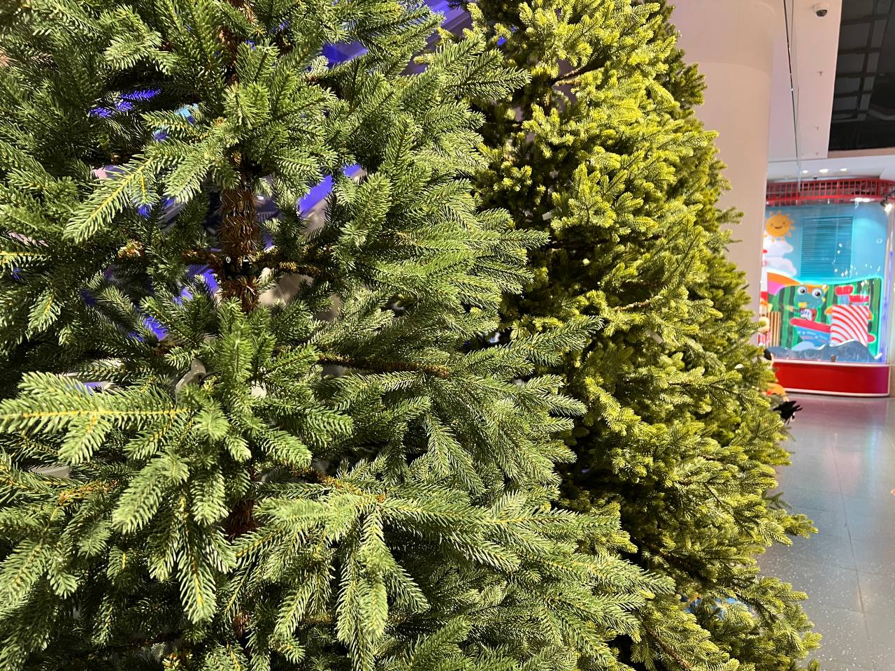 Фото: REGIONS/Елена Фурман