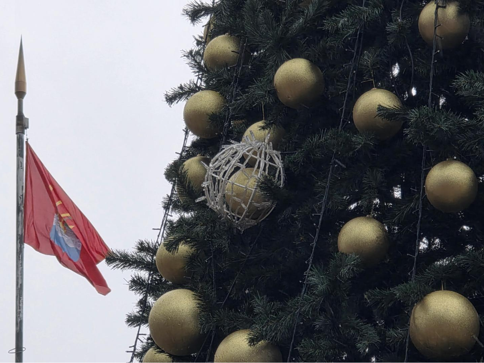 Фото: МедиаБанк Подмосковья/Мария Юдина