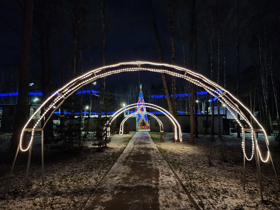 Фото: МедиаБанк Подмосковья/Ольга Аввакумова