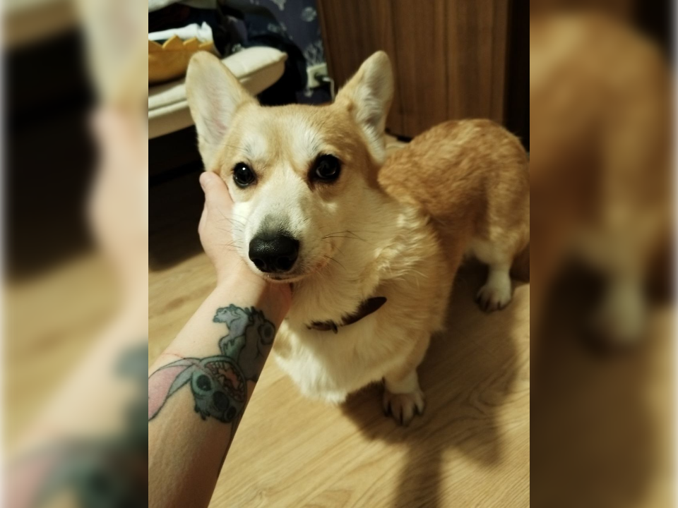 Фото предоставлено героиней истории Надеждой