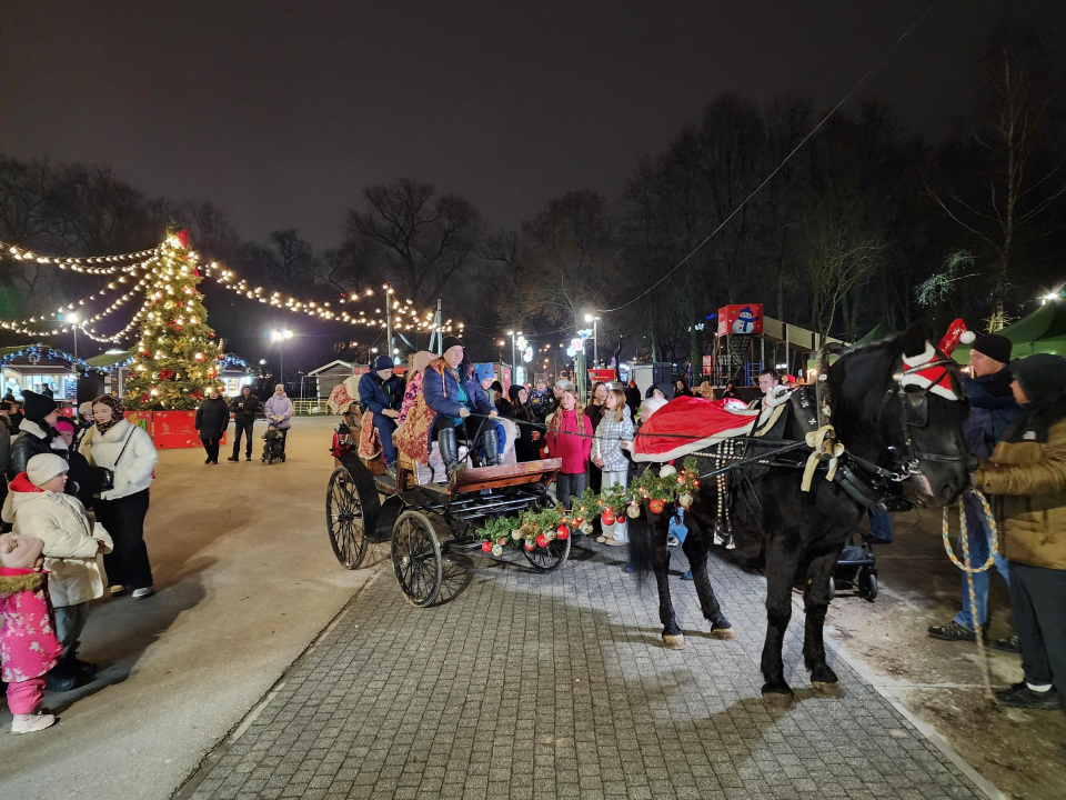 Фото: МедиаБанк Подмосковья/Дмитрий Алексеенко