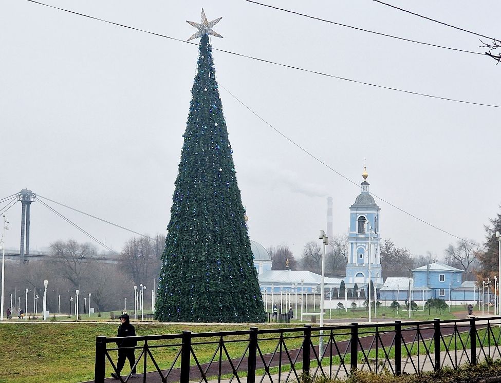 Фото: МедиаБанк Подмосковья/Ольга Шаронова