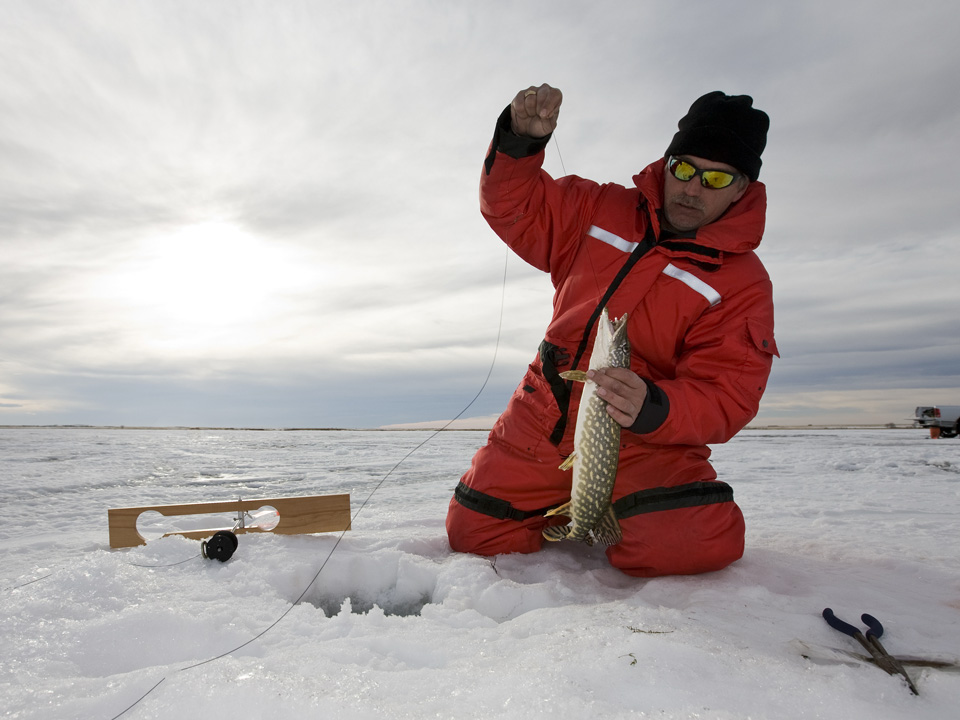 Фото: istockphoto.com/SteveMcsweeny 