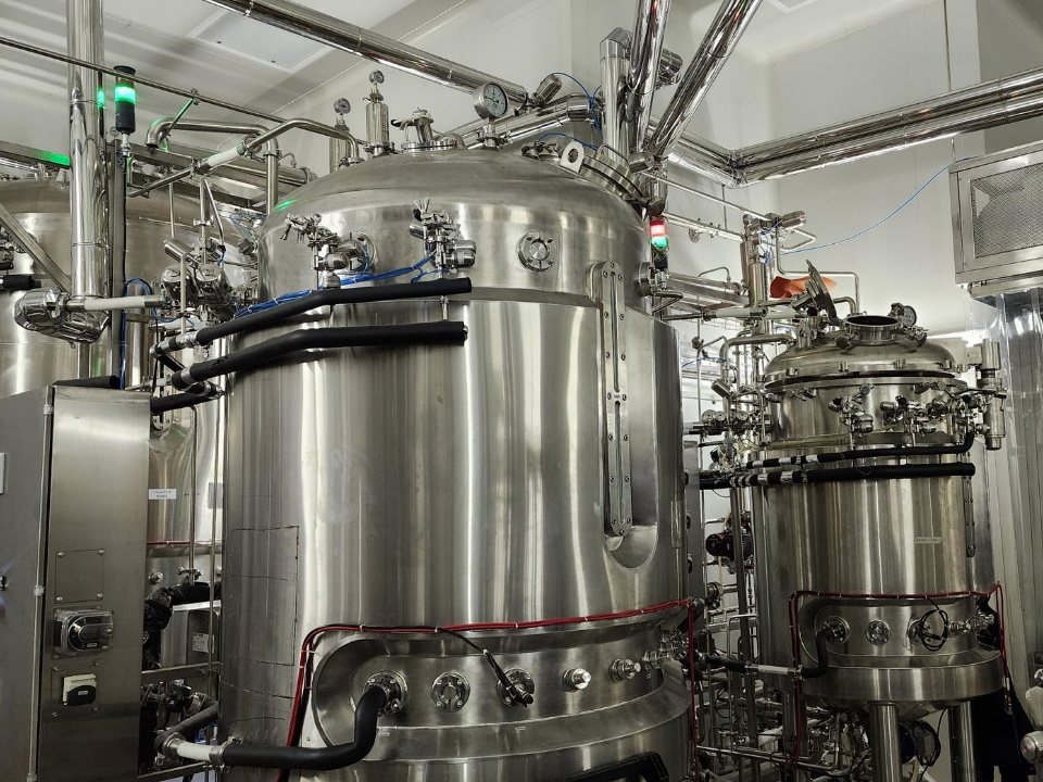 Фото: МедиаБанк Подмосковья/Валерия Тингаева