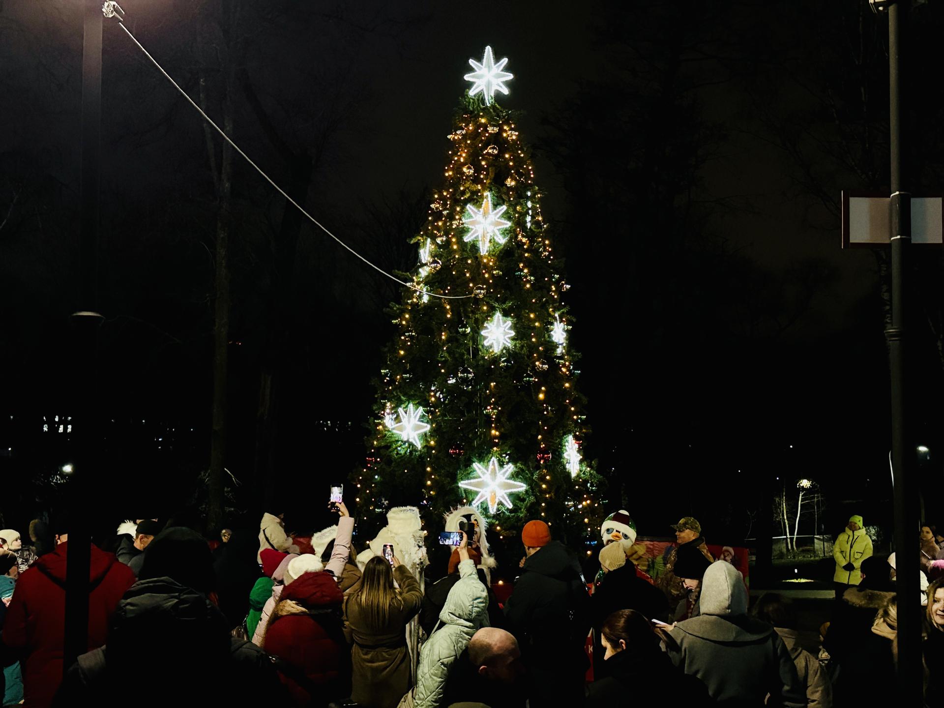 Фото: МедиаБанк Подмосковья/Ольга Стаферова