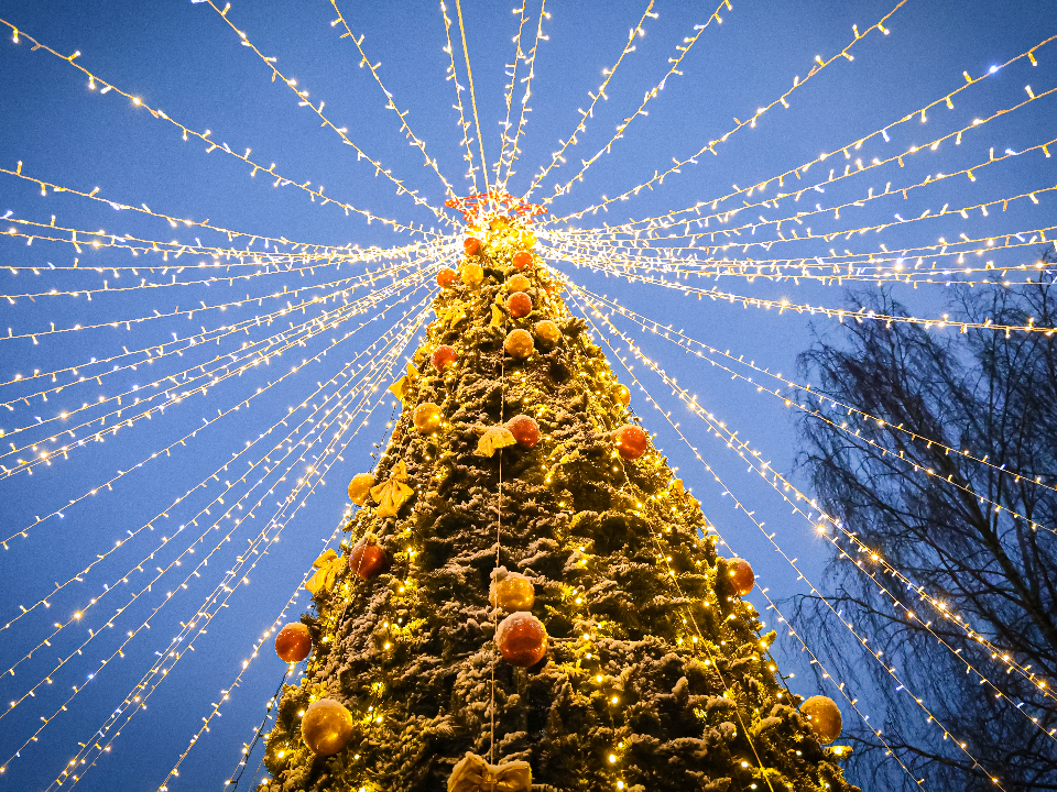 Фото: МедиаБанк Подмосковья/Данила Кирьянов 