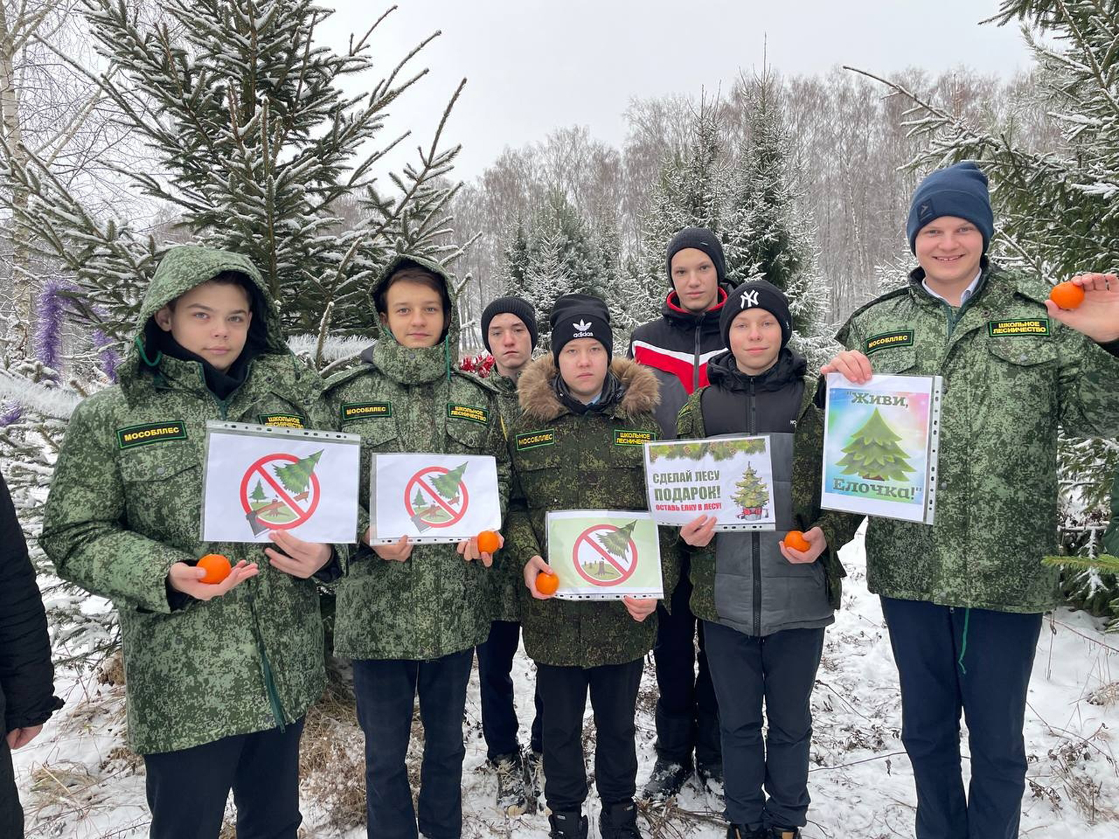 Фото: Ступинский филиал ГАУ МО «Мособллес»