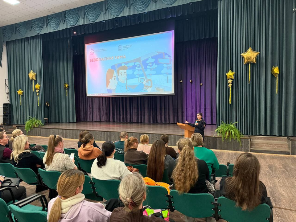 Фото: Госавтоинспекция УМВД России по г. о. Домодедово