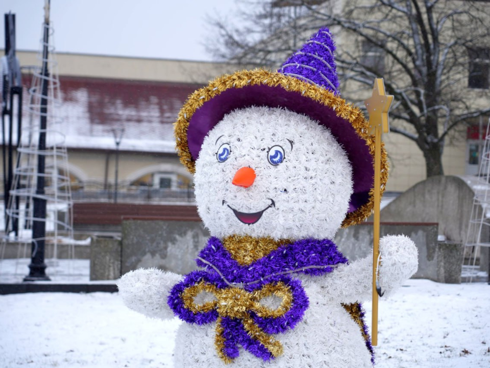 Фото: пресс-служба администрации Сергиево-Посадского г.о.