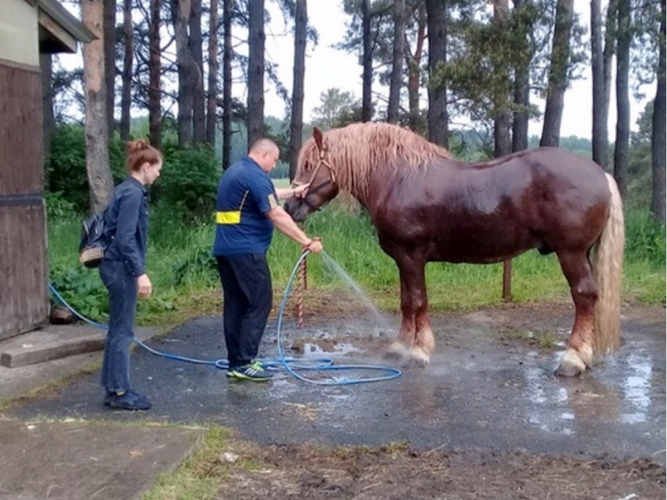 Фото: из личного архива Юрия Шкарева
