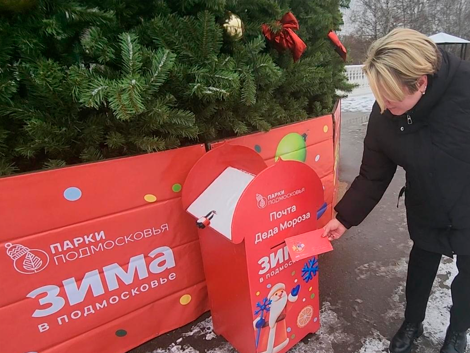 Фото: МедиаБанк Подмосковья/Михаил Раскин