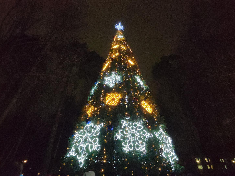 Фото: REGIONS/Артем Мишуков