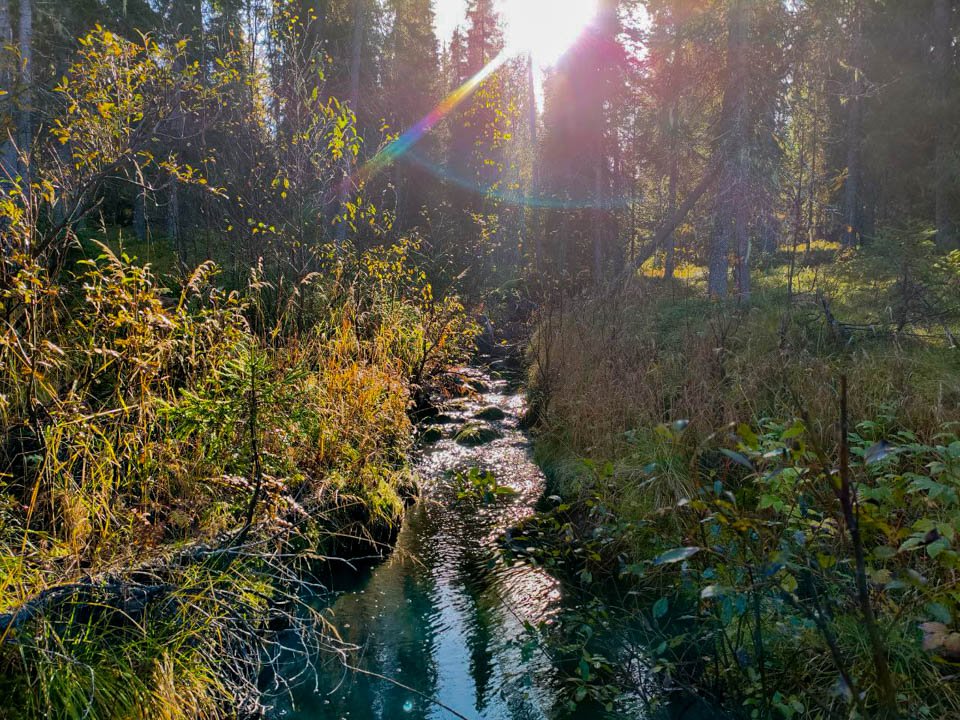 Фото: REGIONS/Андрей Можанов