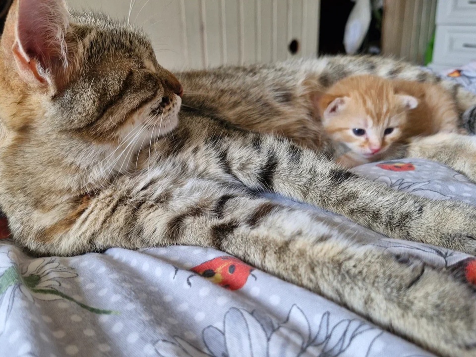 Фото: REGIONS/Наталия Надточая