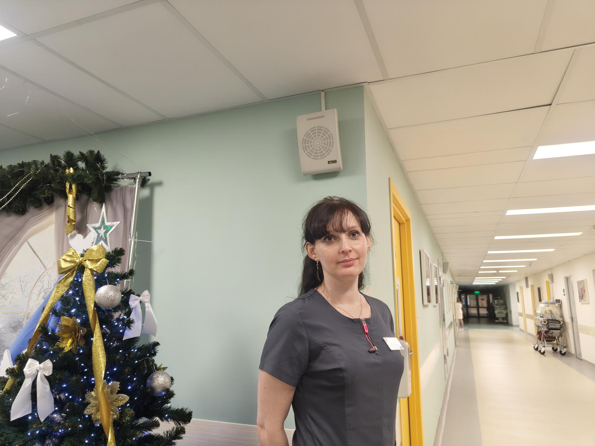 Фото: Сергей Орлов  