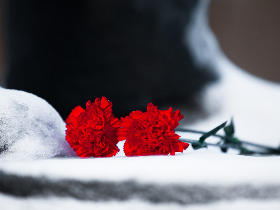 Фото: istockphoto.com/traza83