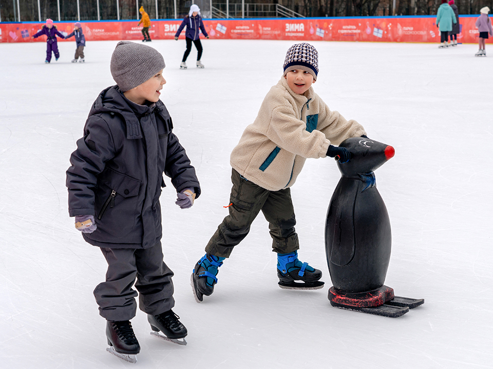 Фото: медиасток.рф