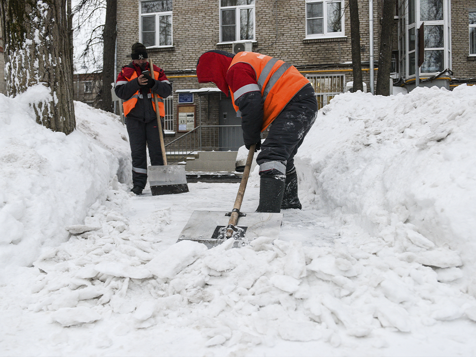 Фото: медиасток.рф