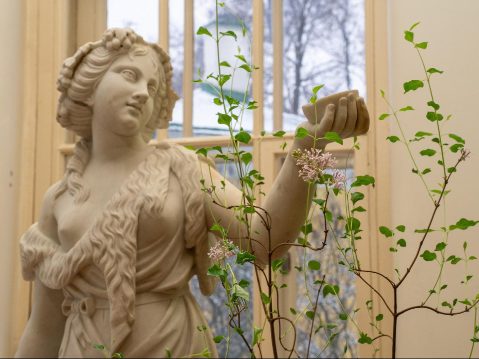 Фото: пресс-служба администрации г.о. Ленинский