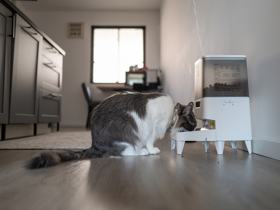 Фото: istockphoto.com/canart7