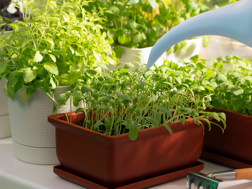 Фото: istockphoto.com/Galina Sandalova