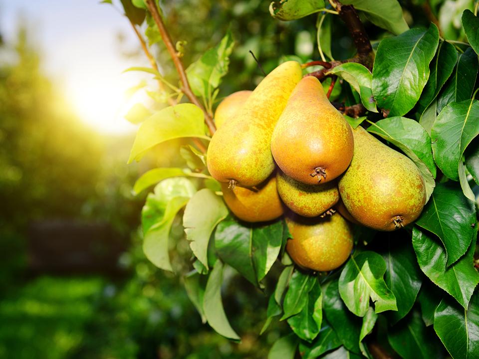 Фото: istockphoto.com