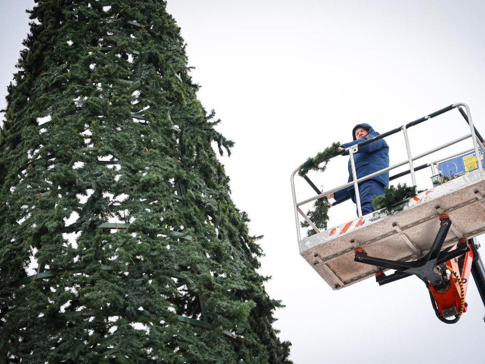 Фото: Министерство благоустройства Московской области