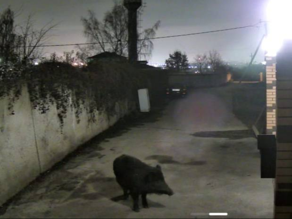 Фото: t.me/uprimskiy1