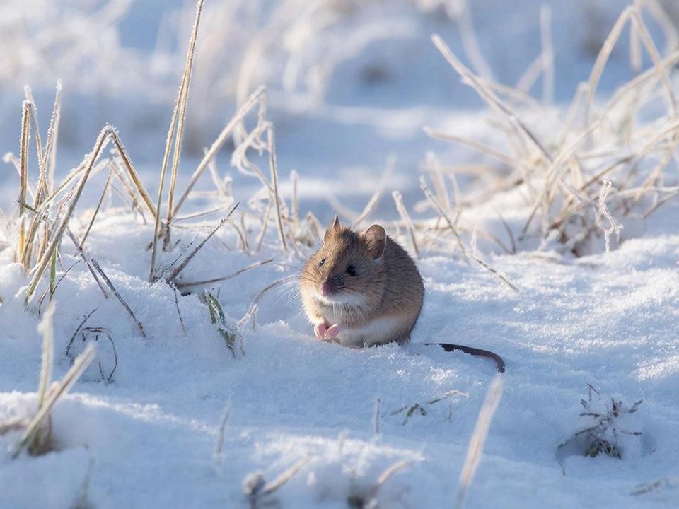 Фото: REGIONS/Сгенерировано нейросетью