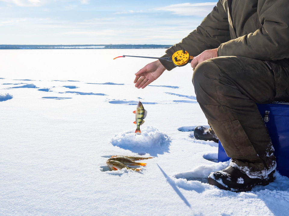 Фото: istockphoto.com/Sergei Chuyko 