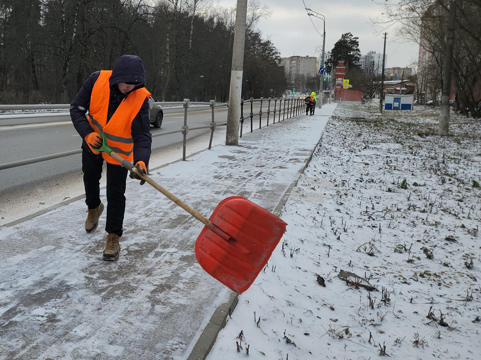 Фото: МедиаБанк Подмосковья/Екатерина Мелкозерова