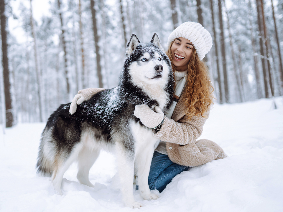 Фото: istockphoto.com/Maksym Belchenko