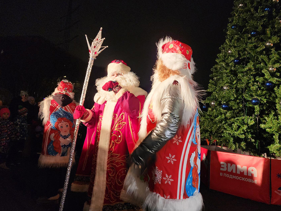 Фото: МедиаБанк Подмосковья/Екатерина Мелкозерова