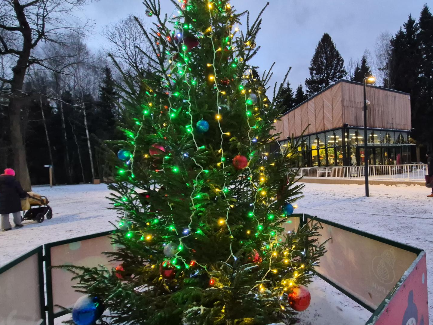 Фото: Анастасия Игнатова  