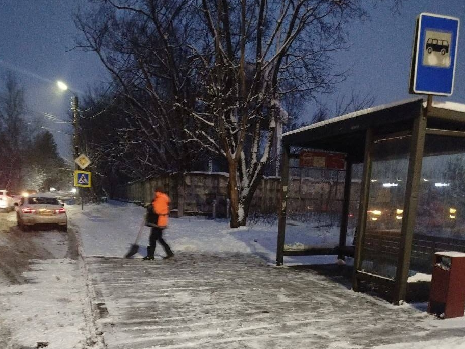 Фото: пресс-служба администрации Наро-Фоминского г.о.             