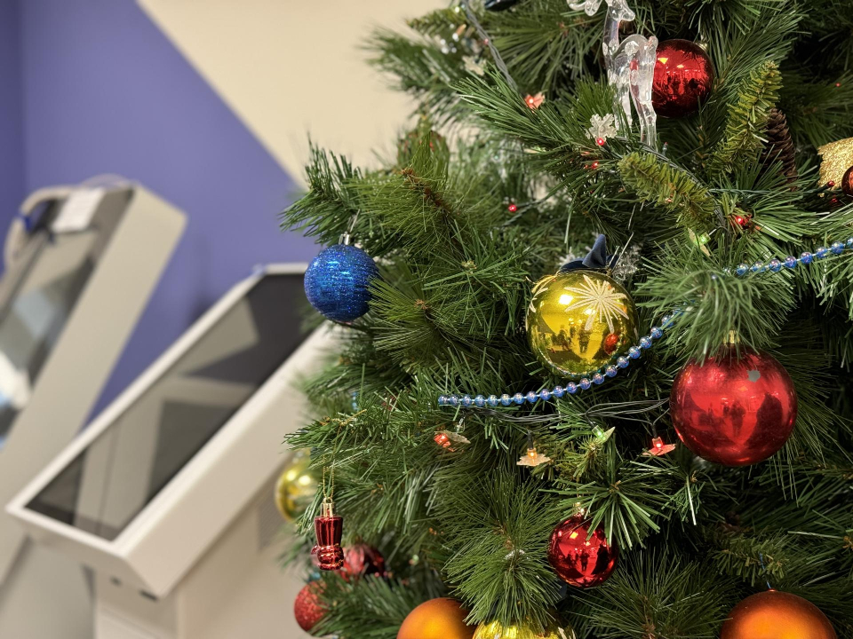 Фото: Полина Абраменко