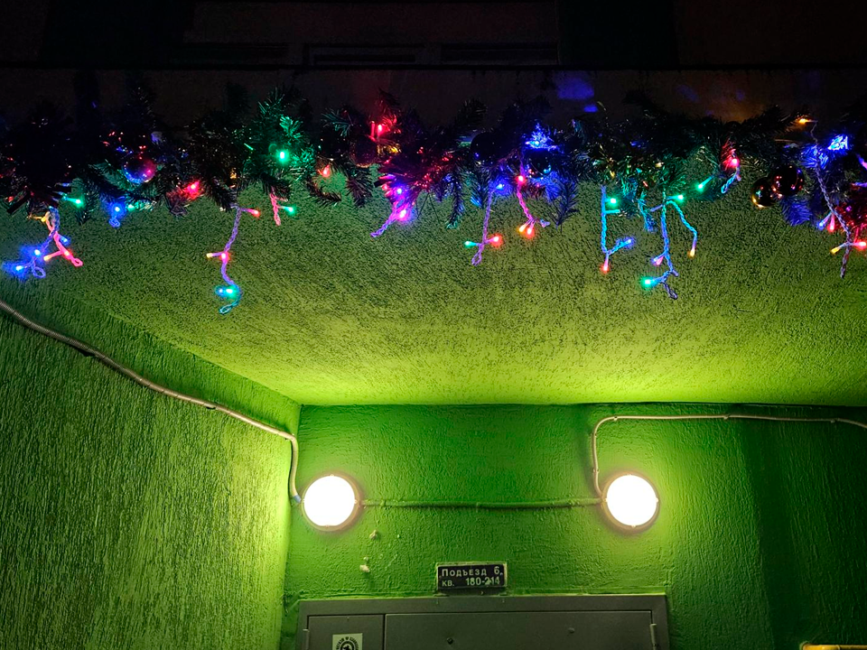 Фото: МедиаБанк Подмосковья/Вероника Горбачева