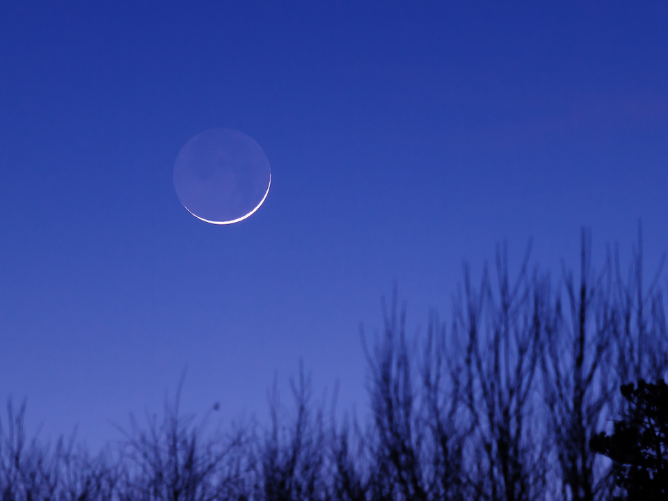 Фото: istockphoto.com/igordabari