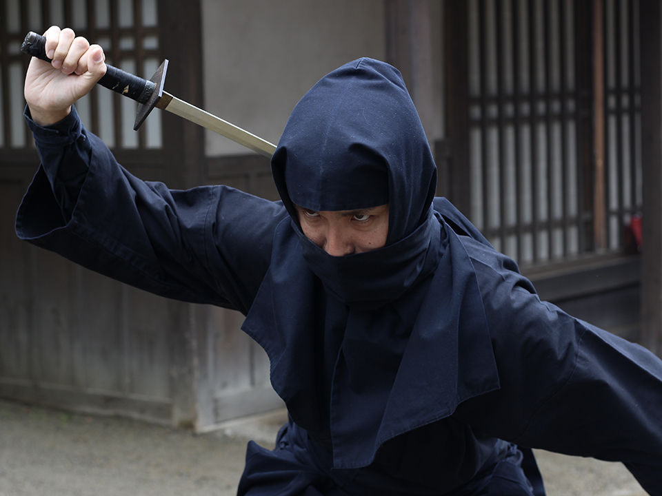 Фото: istockphoto.com/Manaka_Kishizoe