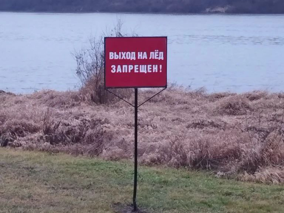 Фото: Дмитрий Елизаветенков