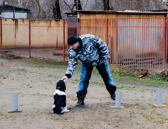 Фото: УМВД России по г.о. Воскресенск