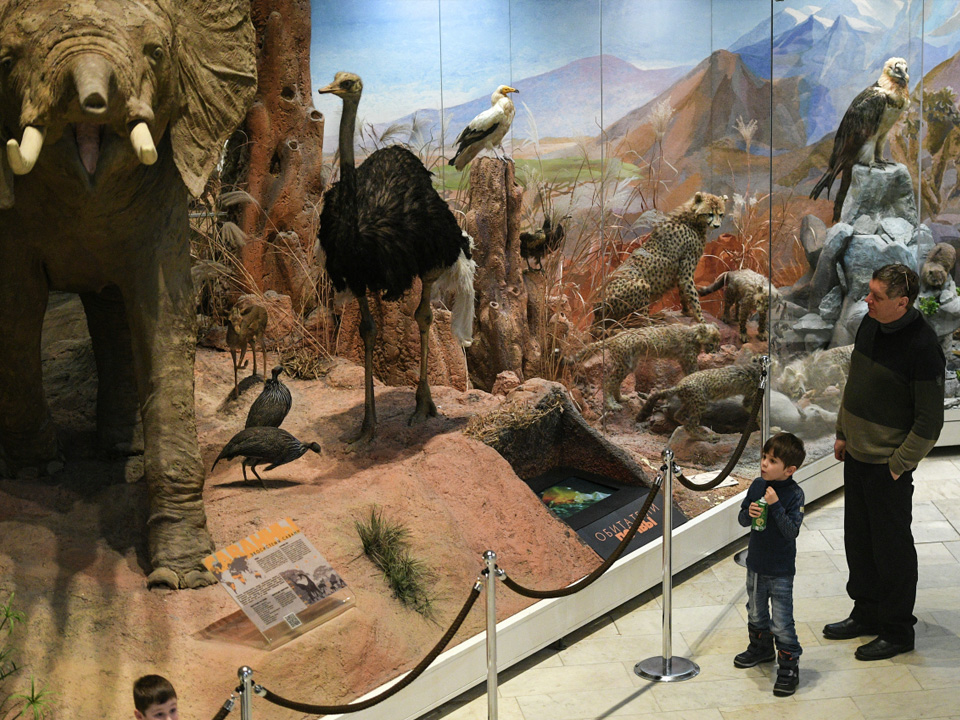 Фото: РИА Новости/Рамиль Ситдиков