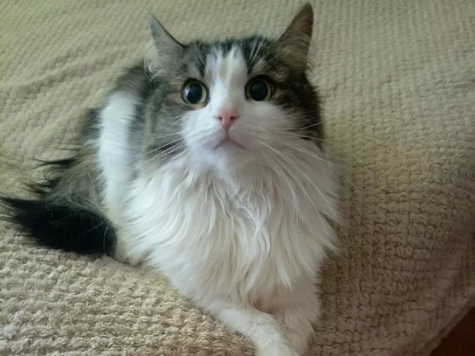 Фото: REGIONS/Эльвира Сафина 