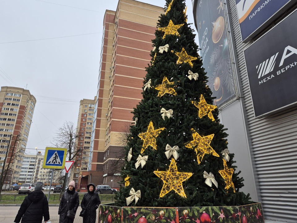 Фото: Юлия Выборова