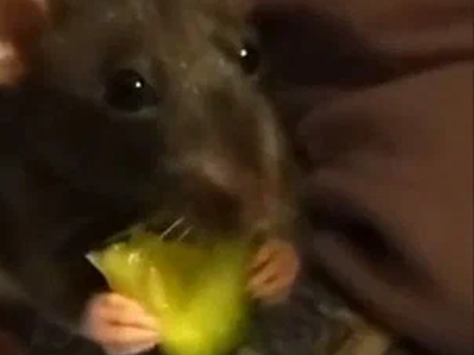 Фото: REGIONS/Наталия Надточая