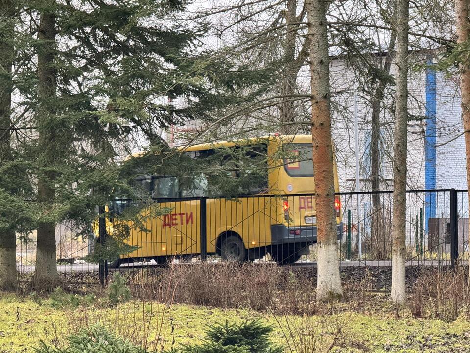 Фото: МедиаБанк Подмосковья/Татьяна Рунова